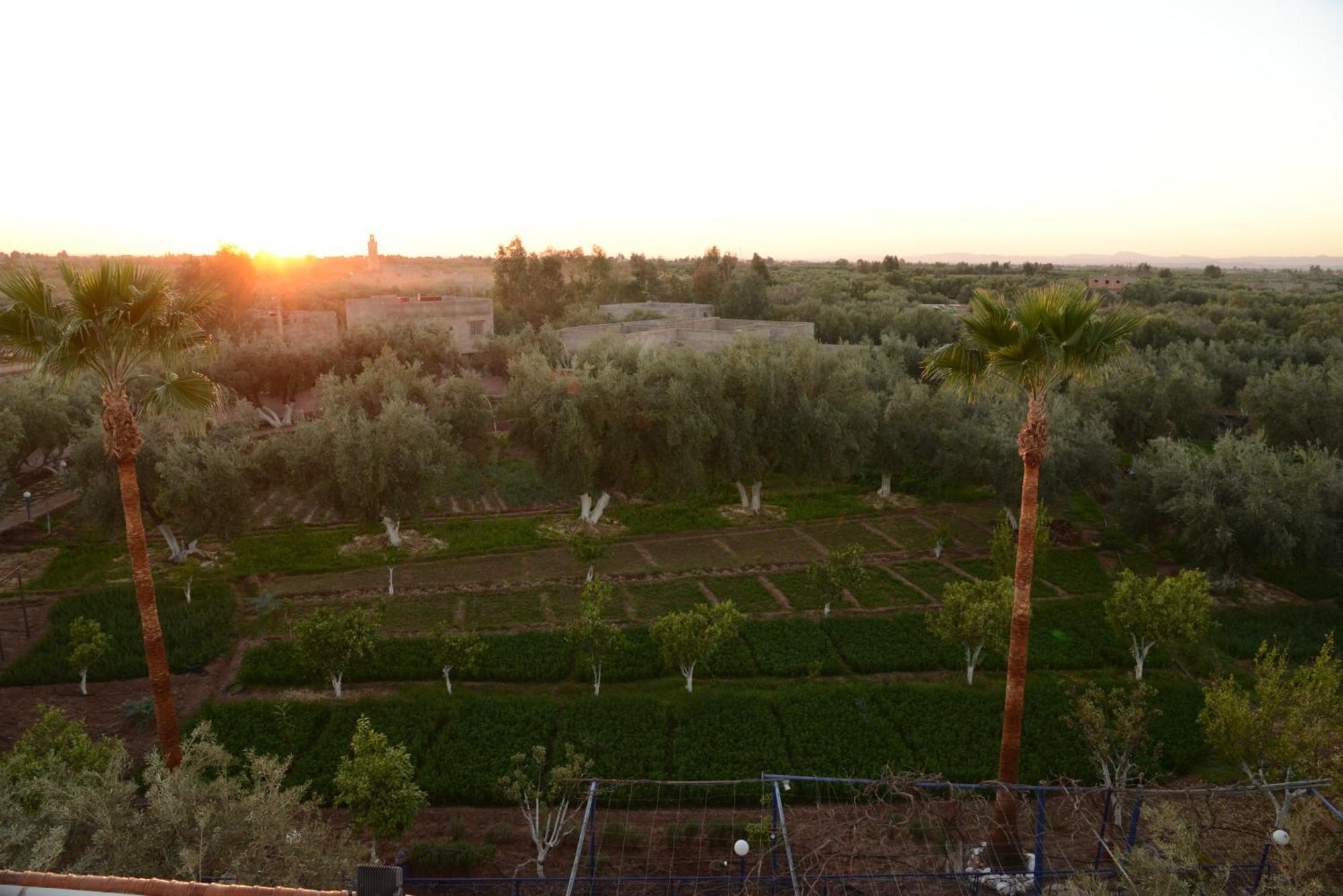 מלון מרקש Eco Farm Tayssir מראה חיצוני תמונה